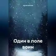 Постер книги Один в поле воин.