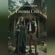 Постер книги Гномы Сна