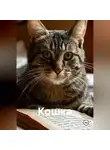 Мария Козлова - Кошка