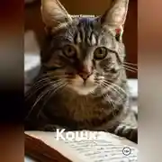 Постер книги Кошка