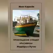 Постер книги ПРОБУЖДЕНИЕ СПЯЩЕЙ КРАСАВИЦ. Мадейра и Путин