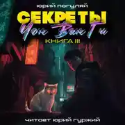 Постер книги Секреты Чон Ван Ги – 3