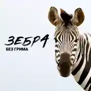 Постер книги «Зебра без грима»: искренний подкаст