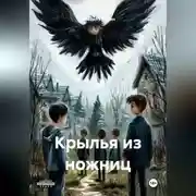 Постер книги Крылья из ножниц