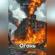 Постер книги Огонь