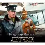 Постер книги Лётчик