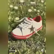 Постер книги Лагерь у озера Калина