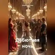 Постер книги Дебютная ночь.