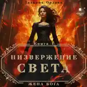 Постер книги Низвержение Света