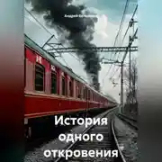 Постер книги История одного откровения