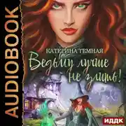 Постер книги Ведьму лучше не злить! Книга 1