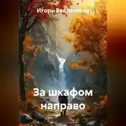 Постер книги За шкафом направо