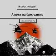 Постер книги Ангел на фюзеляже