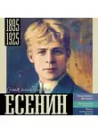 Василий Берг - Есенин