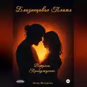 Постер книги Близнецовое Пламя. Встреча. Пробуждение