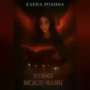 Постер книги Пламя между нами