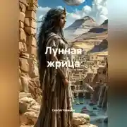 Постер книги Лунная жрица. Фэнтези.