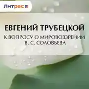 Постер книги К вопросу о мировоззрении В. С. Соловьева