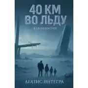 Постер книги 40 км во льду: Владивосток