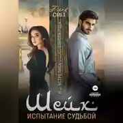 Постер книги Шейх. Испытание судьбой