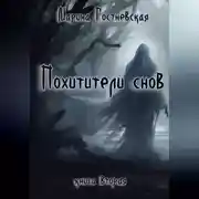 Постер книги Похитители снов