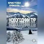 Постер книги Новогодний тур