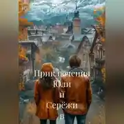 Постер книги Приключения Юли и Серёжи в Незнакомом Городе
