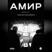 Постер книги Амир