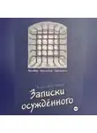 Владислав Пестрецов - Записки осуждённого