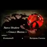 Постер книги Смысл жизни