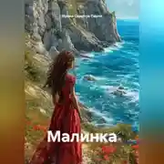 Постер книги Малинка