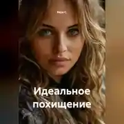 Постер книги Идеальное похищение