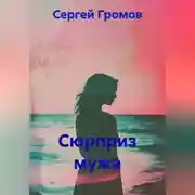 Постер книги Сюрприз мужа