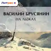 Постер книги На лыжах