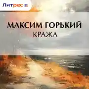 Постер книги Кража
