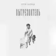 Постер книги Вытрезвитель