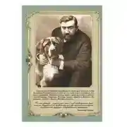 Постер книги Сапсан. Собачье счастье