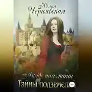 Постер книги Академия магии. Тайны подземелий