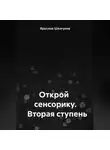 Ярослав Шелгунов - Открой сенсорику. Вторая ступень