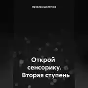 Постер книги Открой сенсорику. Вторая ступень