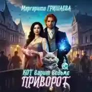 Постер книги Кот варит ведьме приворот