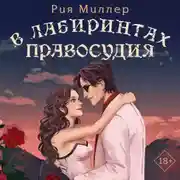 Постер книги В лабиринтах правосудия