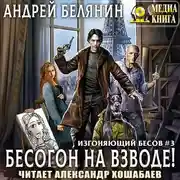 Постер книги Бесогон на взводе!