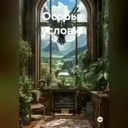 Постер книги Особые условия