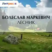 Постер книги Лесник