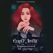 Постер книги Секрет Лотти, или Девушка, которой не существует