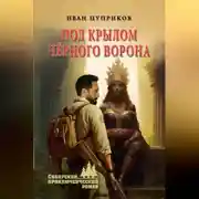 Постер книги Под крылом чёрного ворона