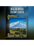 Валерий Поволяев - Сын Пролётной Утки