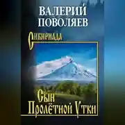 Постер книги Сын Пролётной Утки