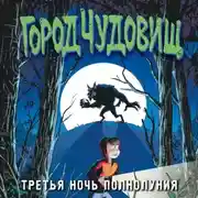 Постер книги Третья ночь полнолуния